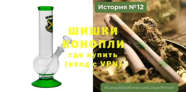 spice Вяземский