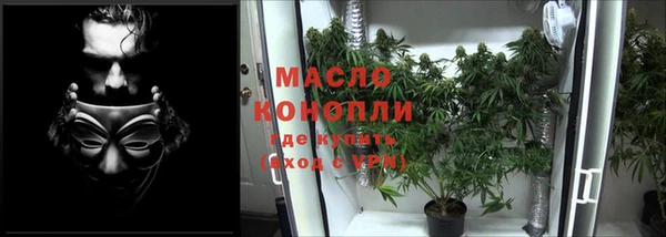 дмт Вязьма