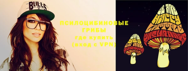 spice Вяземский
