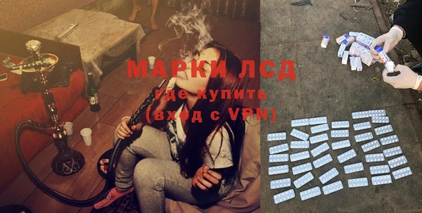 spice Вяземский