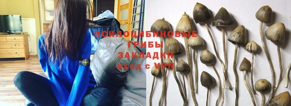 молекула духа Вязники