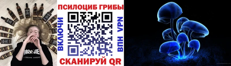 Галлюциногенные грибы Psilocybe  Купить где  Балахна 